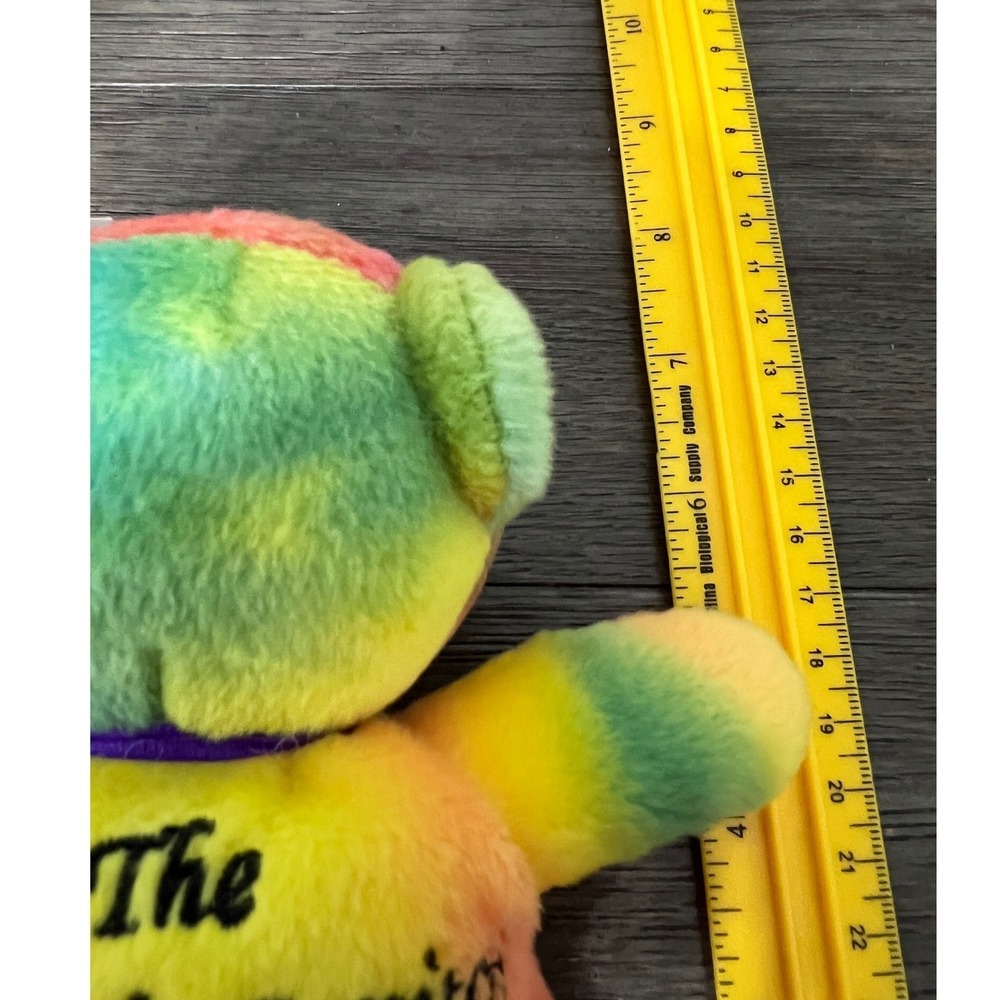 Symbollz Washington DC Panda Teddy Bear Plush Rainbow Souvenir Nations Capital - Picture 6 of 6